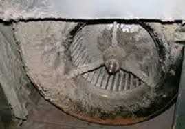 Dust on Furance Fan